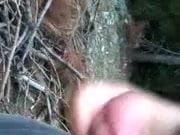 morning masturbation in the woods part 2