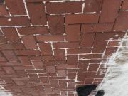 Spandex in the snow -2