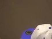Twink Caught Stroking in Stall