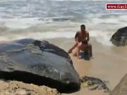 A gay couple decided to fuck in the rough sea