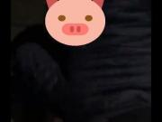 Findom Geldherrin