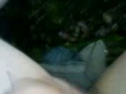 Wald wichs 2