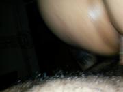DOMINICAN COCK