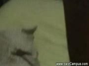 College boys loves anal and sucking