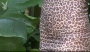 Wendy rider - shemuscle - strip leopard minidress