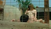 The pigkeeper daughter (1972)