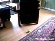 Chubby woman enjoys home sex - RedTube - Free Amateur Porn Videos