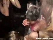 Crazy sex orgy at the party