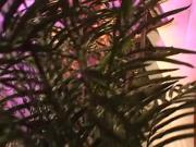 Fearless Chicks Play With Cooters With Sex-Toys