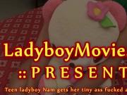 Teen Ladyboy Nam Fucked Bareback