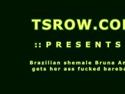 Latina TS Bruna Angel Bareback