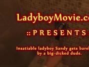 Ladyboy Sandy Fucked Bareback