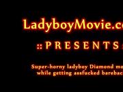 Ladyboy Diamond Gets Nailed