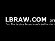 Ladyboy Tao Fucked Bareback