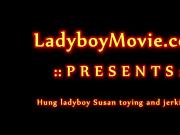 Hung Ladyboy Susan Toying and Stroking