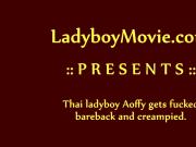 Ladyboy Aoffy Bareback and Creampie