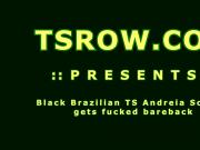 Black Brazilian TS Andreia Scofani Bareback