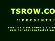 Black Latina Shemale Viviane Silva Barebacked