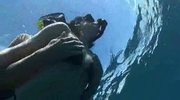 Diving brunette nailed under the sea