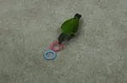 Crazy Parrot