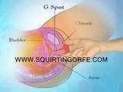 Squirting also know amrita