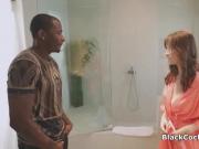 Big black cock in perky brunette