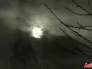 Lovers Having Sex After A Party