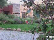 Bigtit amateur GF fucked in the backyard