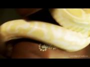 Sexy Indian Slut Kuchipudi Shows Off Amazing Bod With The Serpent