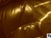 Husband And Wife Having Sex