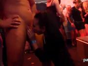 Kinky kittens get fully wild and naked at hardcore party