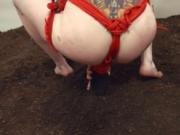 Ropes and vibrators in her deep asshole fucked by a pig