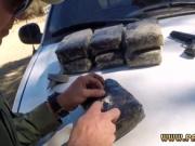 Police tease and fake taxi woman police officer Russian