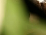 Sensual babe Madison Chandler cum facial