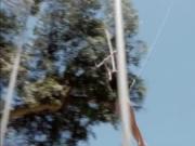 Babes have fun trying out bungee jumping and frisky fis