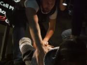 Gay group fuck twink movietures Purse thief becomes don