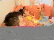 Boy fucking his teacher gay sex movieture first time Bo