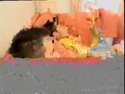 Old gay man spanking jocks Boys Changing The Game!