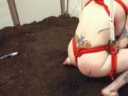 Ropes and toys in her deep anal fucked by a pig