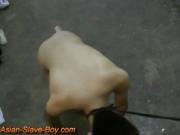 Cute Asian Slave Boy Got Doggy Trainning