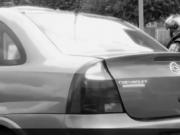 Seducing a pretty hot model