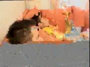 Men spanked in panties gay Boys Changing The Game!