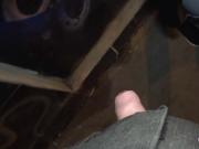 Public agent fucks brunette in his car
