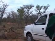 Interracial group fucking and blowjob with nasty Africa