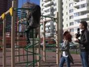 Enjoy the wild group session
