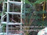 Fat teenagers boys gay porn xxx It is highly fortunate