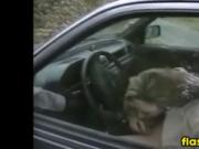 Fun In And Out Of The Car