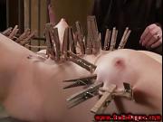 Bondage BDSM fetish clamped with wooden pegs