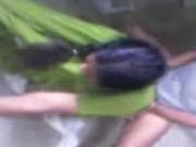 Punjabi Kudi Fucked on Floor