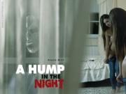 Alexis Brill A Hump in the Night BabesNetwork